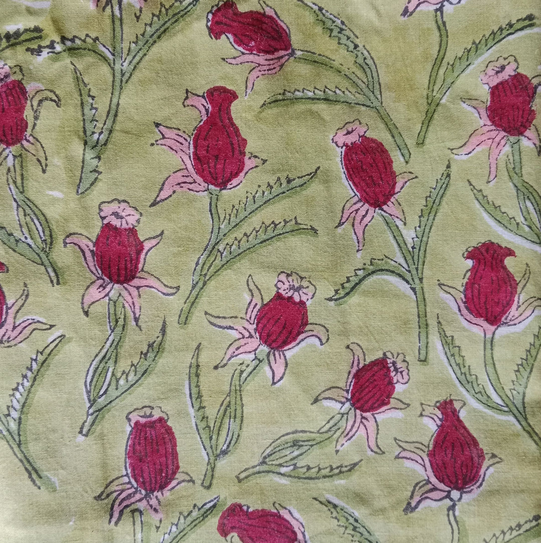 Vasundharā | Rajasthani Kota Saree